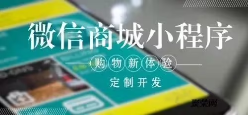 软件开发者的心灵历程：坚毅、挫折、成就